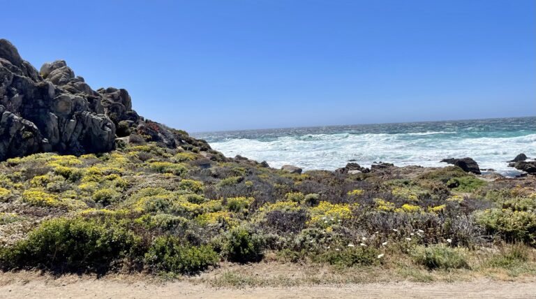7-Day Itinerary for Northern California with Kids
