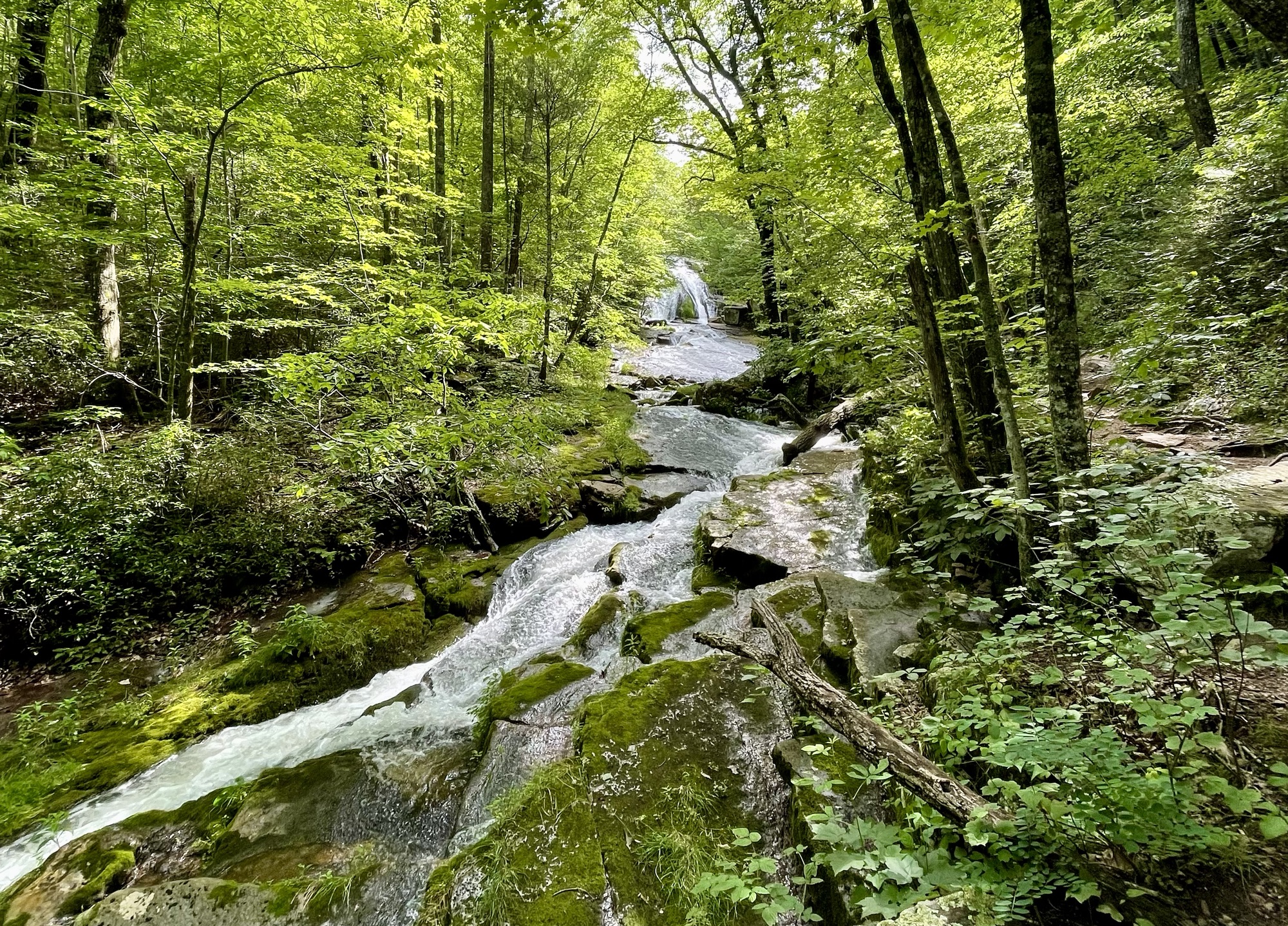Roaring Run Furnace