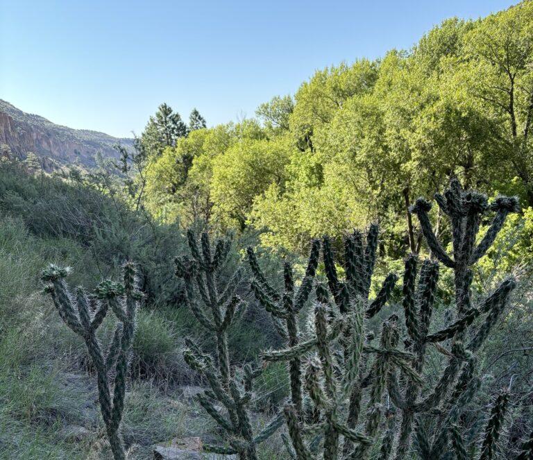 Southwestern Adventure: Santa Fe to Colorado Springs 7-Day Road Trip