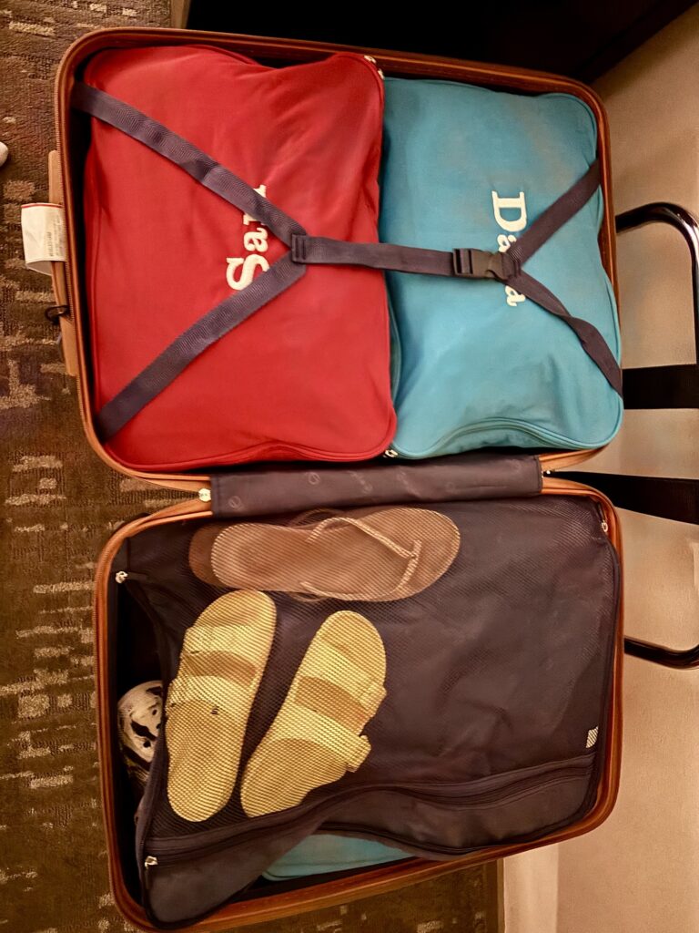 Mark and Graham Packing Cubes