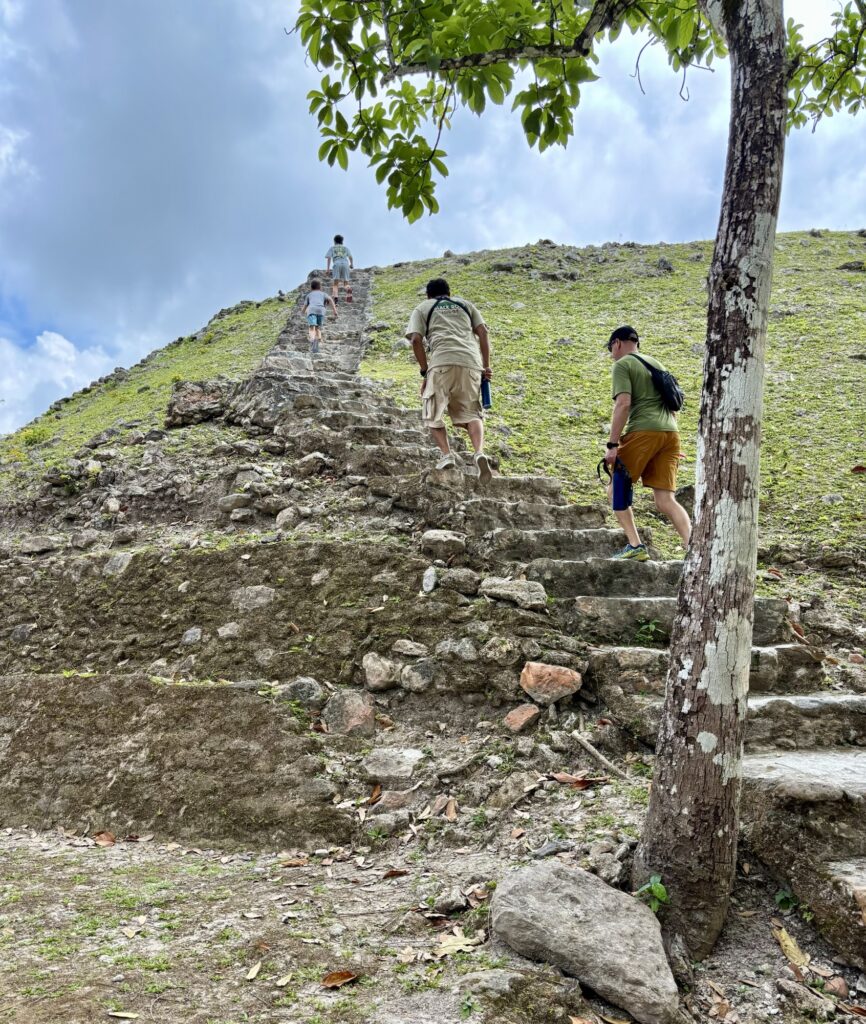 Visitors climbing the steps of a Mayan ruin surrounded by lush greenery in Belize.