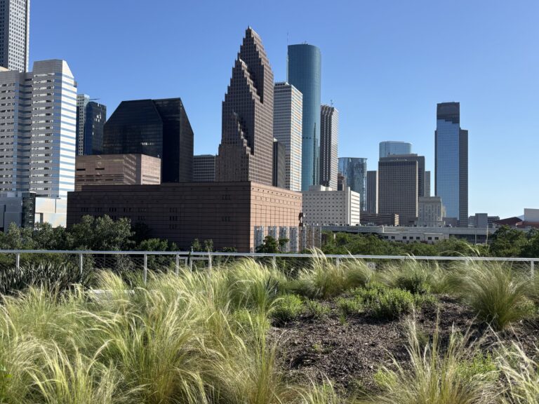 An Overnight Layover in Houston