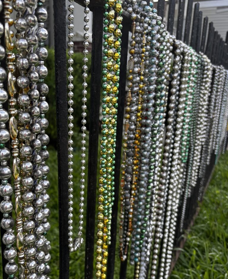 12 Activities to do with Kids and Grandparents in New Orleans